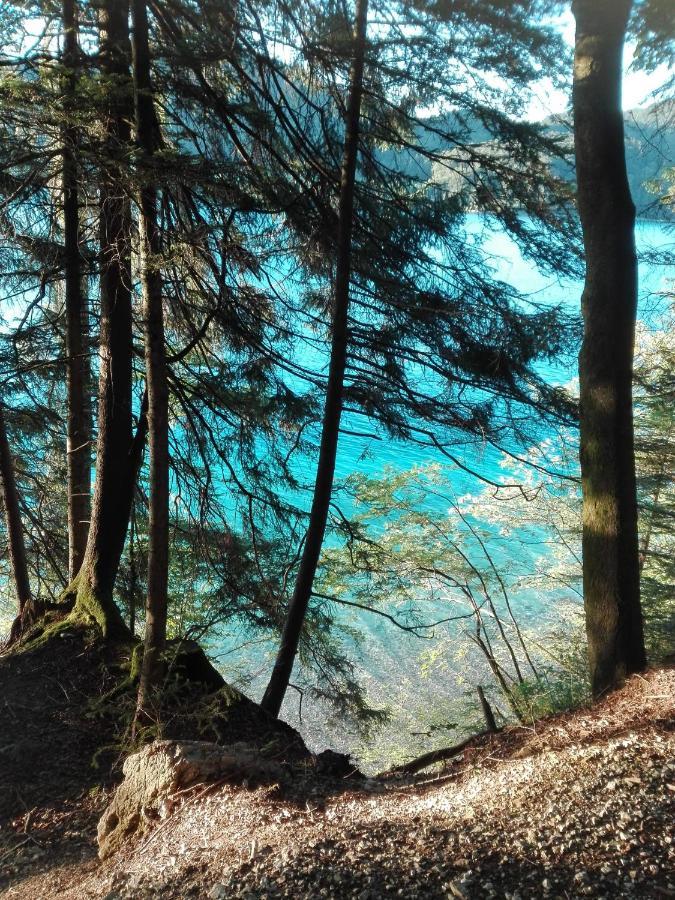 Feichtingerbauer Lägenhet Fuschl am See Exteriör bild