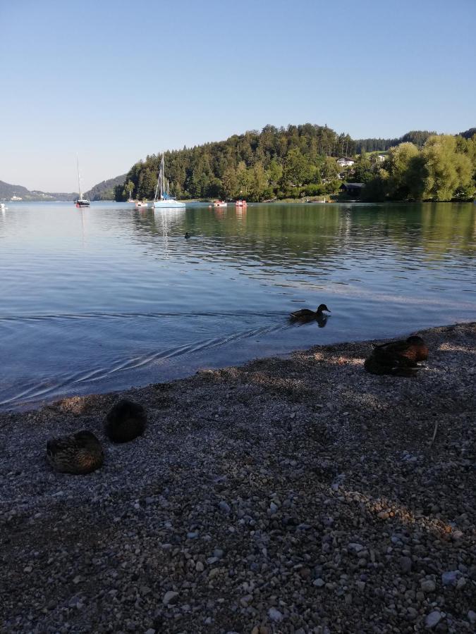 Feichtingerbauer Lägenhet Fuschl am See Exteriör bild