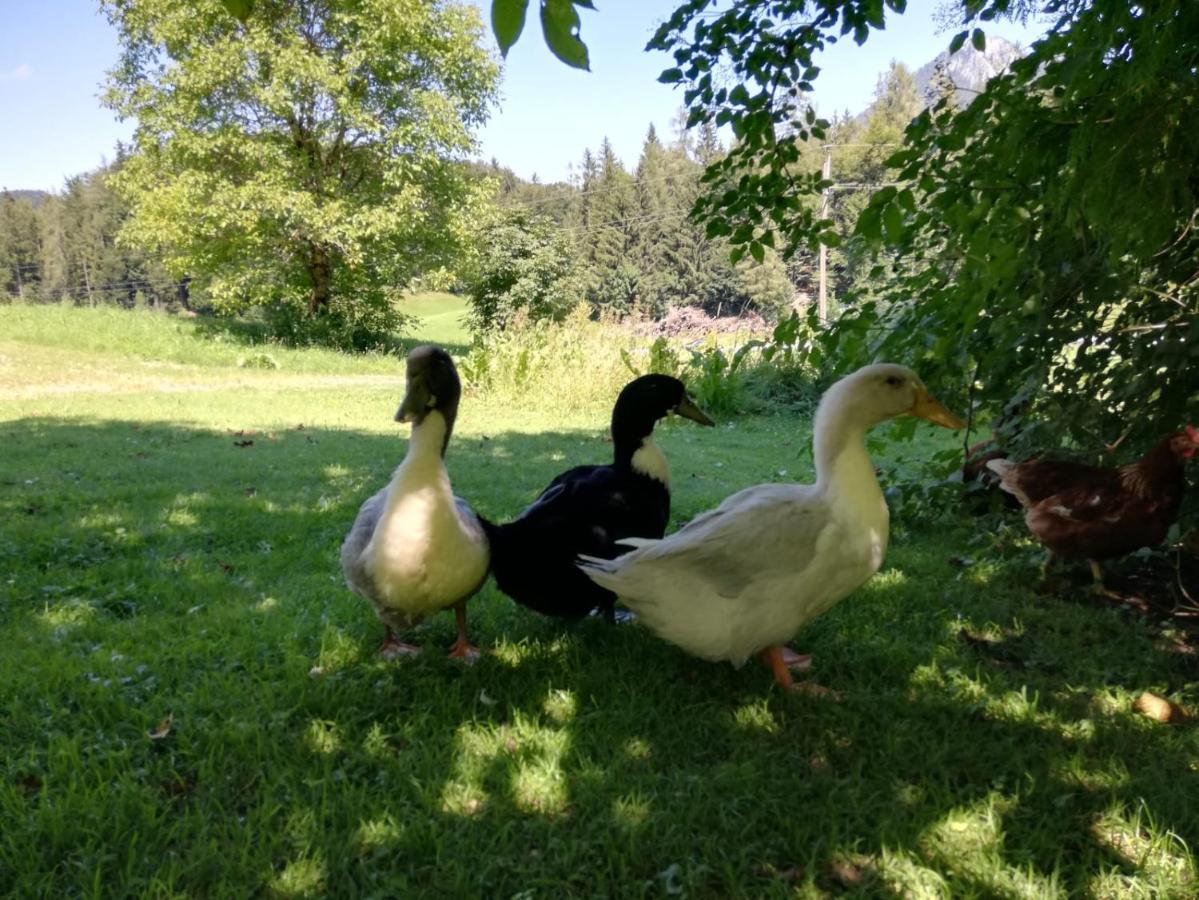 Feichtingerbauer Lägenhet Fuschl am See Exteriör bild